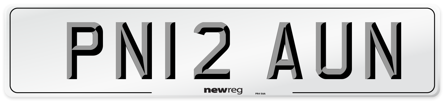 PN12 AUN Number Plate from New Reg